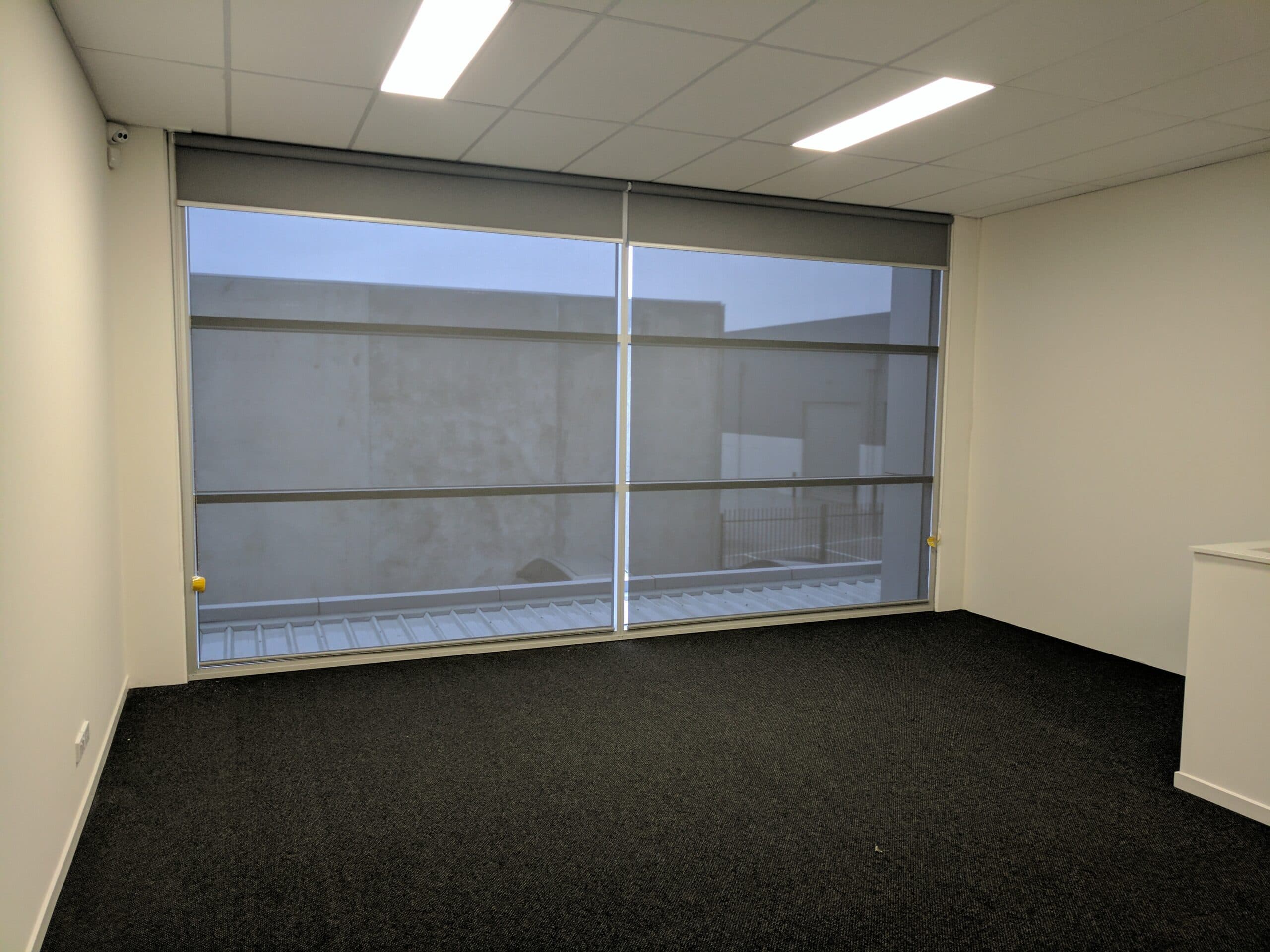Sunscreen roller blind across a full-width office window